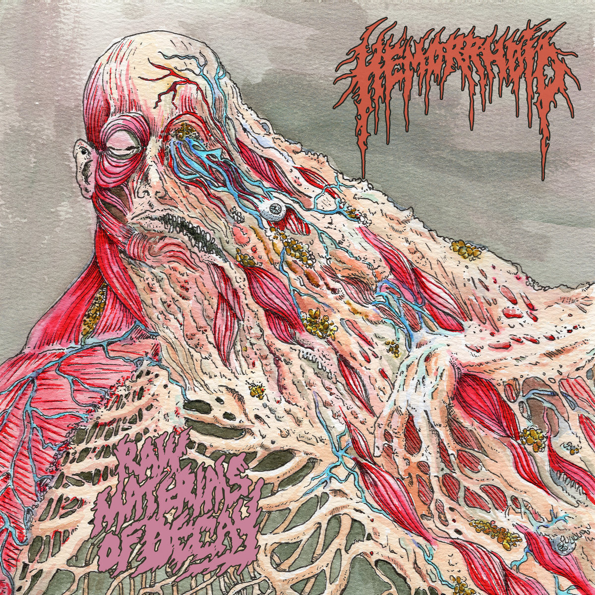 Hemorrhoid Raw Materials of Decay (Vinyl LP) 12" Album