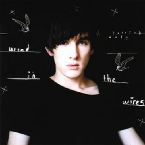 Patrick Wolf Wind in the Wires (CD) Album