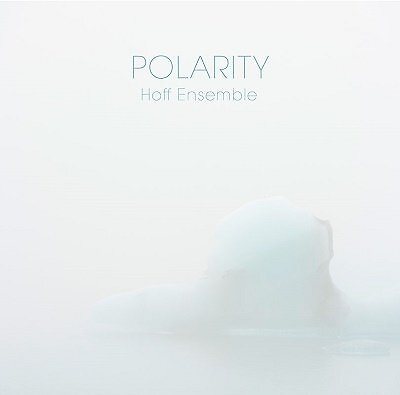 Hoff Ensemble  - Polarity - An Acoustic Jazz Project - Vinile