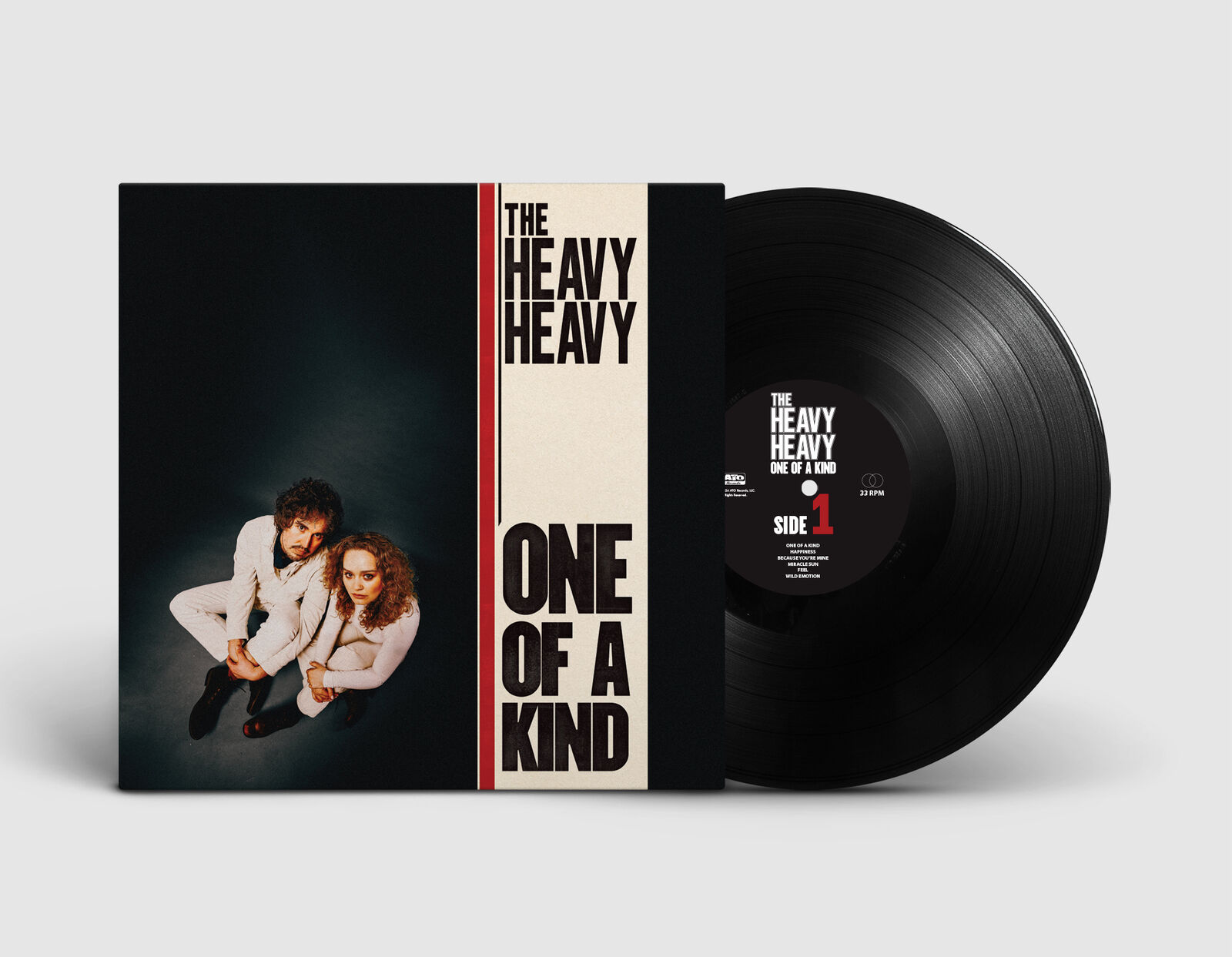 The Heavy Heavy One of a Kind (Vinyl LP) 12" Album
