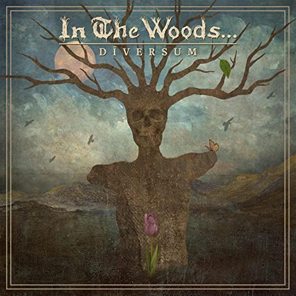 In The Wood? - Diversum (Limited Brown/White/Brown Vinyl) - AA.VV. (Vinile)
