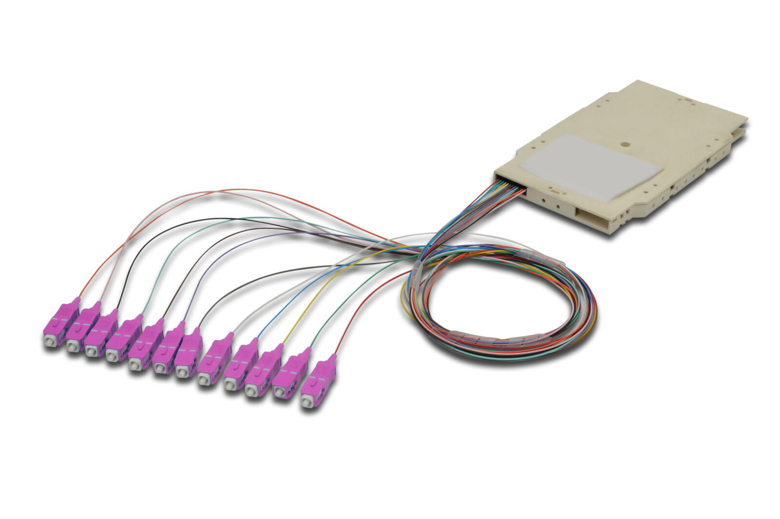 Informatica - Vari - Cassetta Di Giunzione Attrezzata Con 12 Pigtail Fibra Mu...
