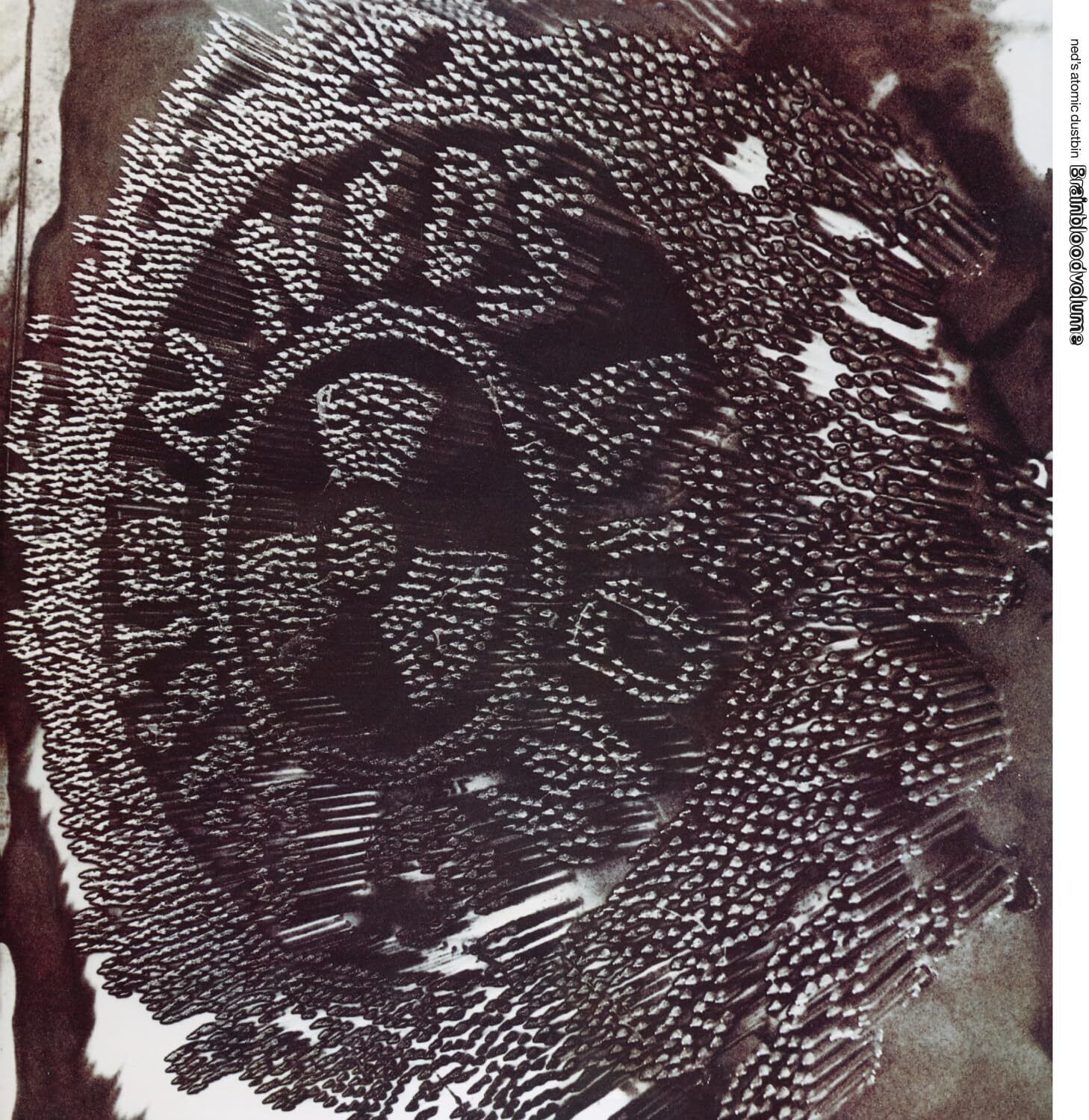 Ned's Atomic Dustbin Brainbloodvolume (Vinyl LP)