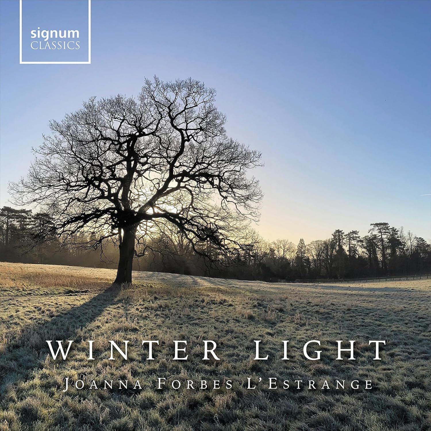 Joanna Forbes L'Estrange Joanna Forbes L'Estrange: Winter Light (CD) Album