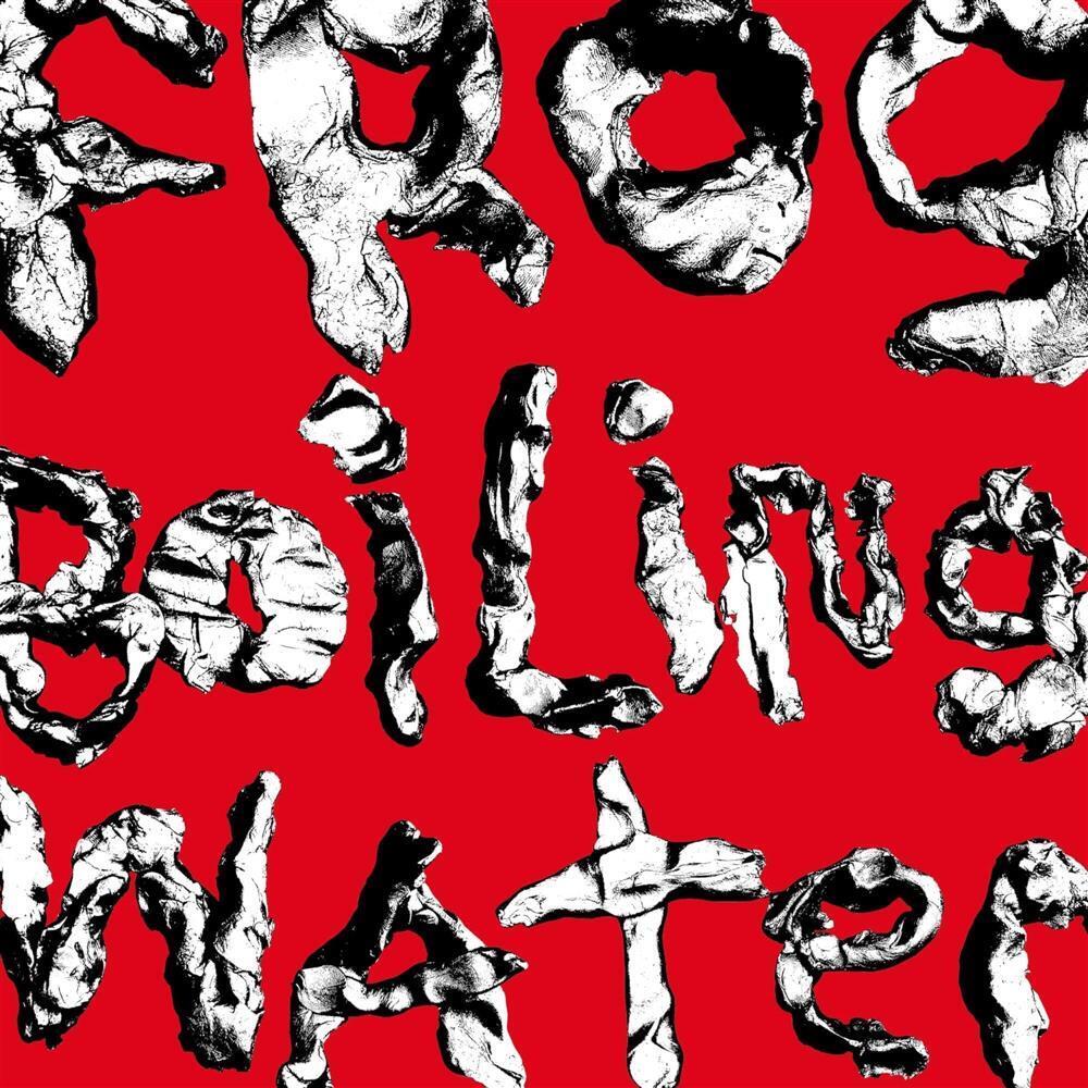 Diiv - Frog In Boiling Water - AA.VV. (Audio Cd)