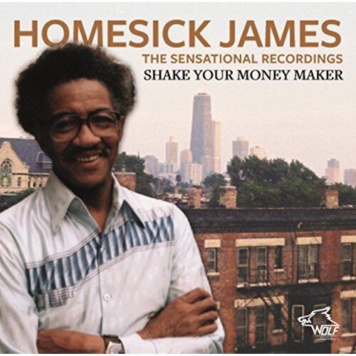 Homesick James - The Sensational Recordings (Shake Your M