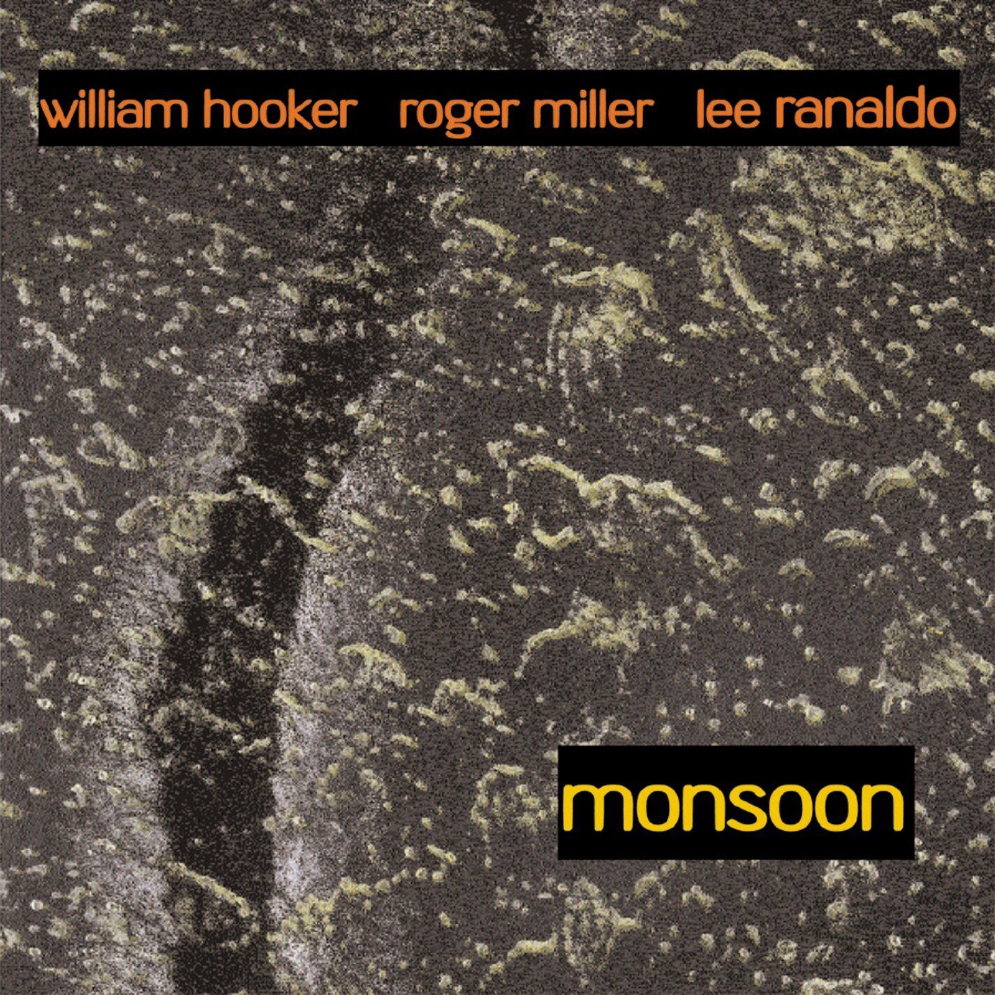 Hooker/Miller/Ranaldo Monsoon: Out Trios Volume One (CD) Album