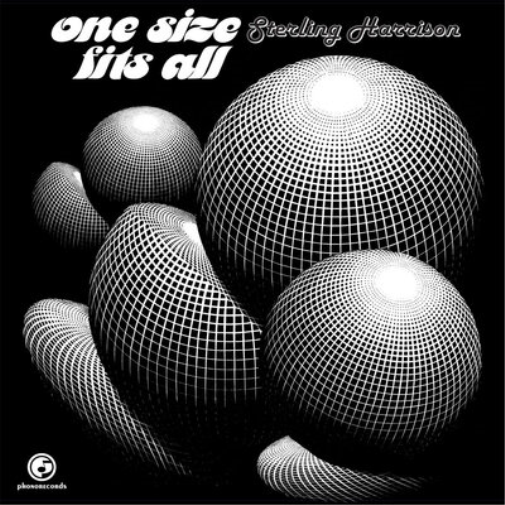 Sterling Harrison One Size Fits All (Vinyl LP) 12" Album