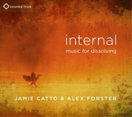 Jamie Catto & Alex Forster Internal Music for Dissolving (CD) Album