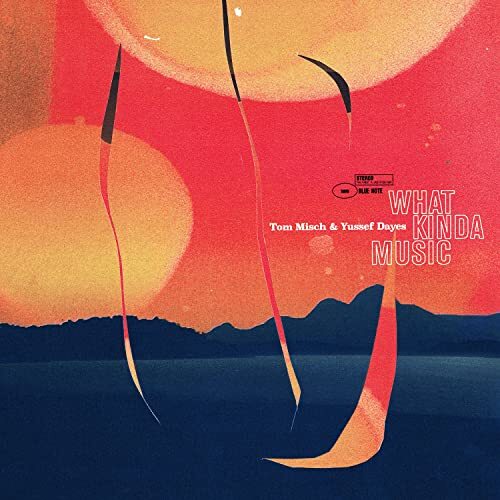 Tom Misch and Yussef Dayes What Kinda Music Double LP Vinyl NEW