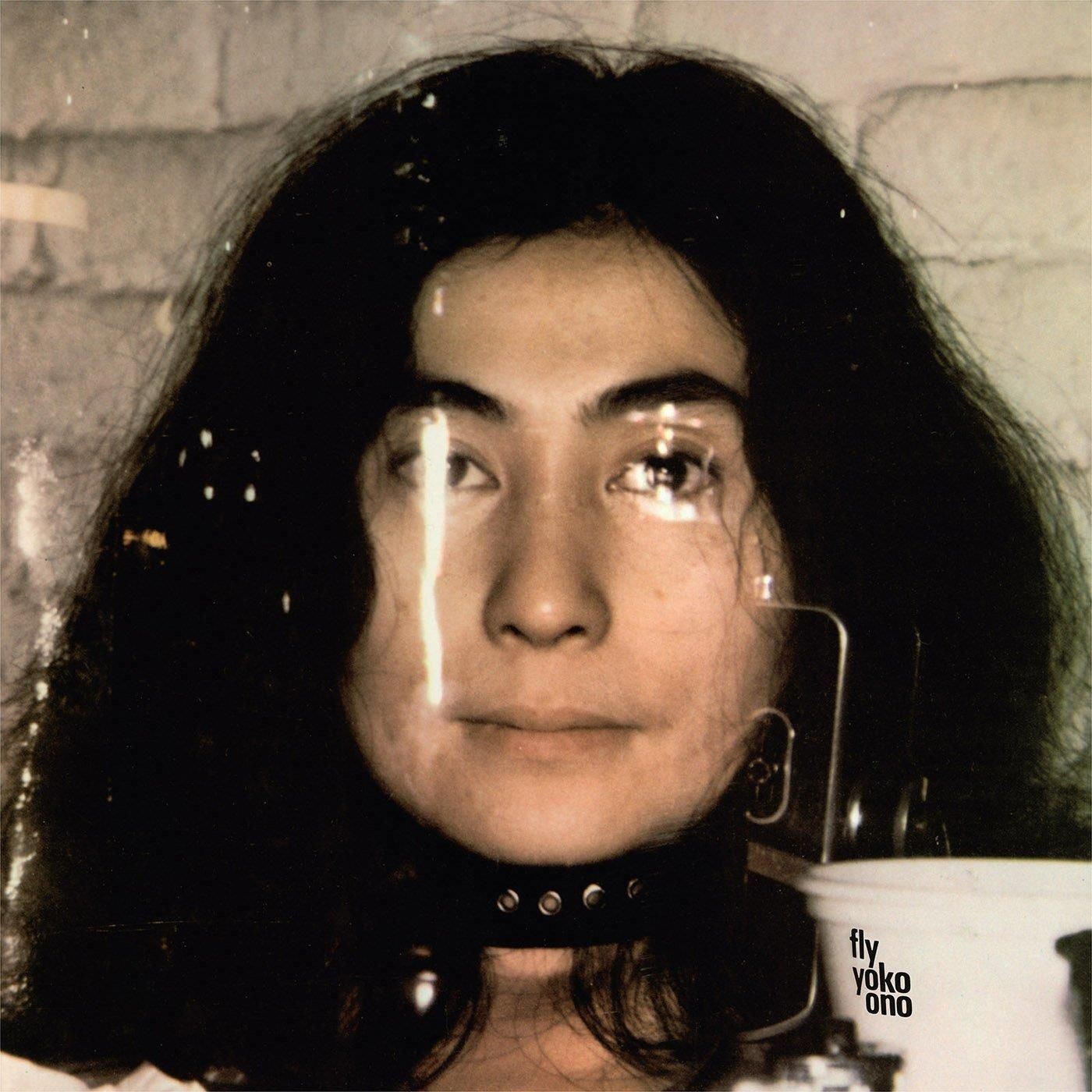 Vinile Yoko Ono - Fly (2 Lp)