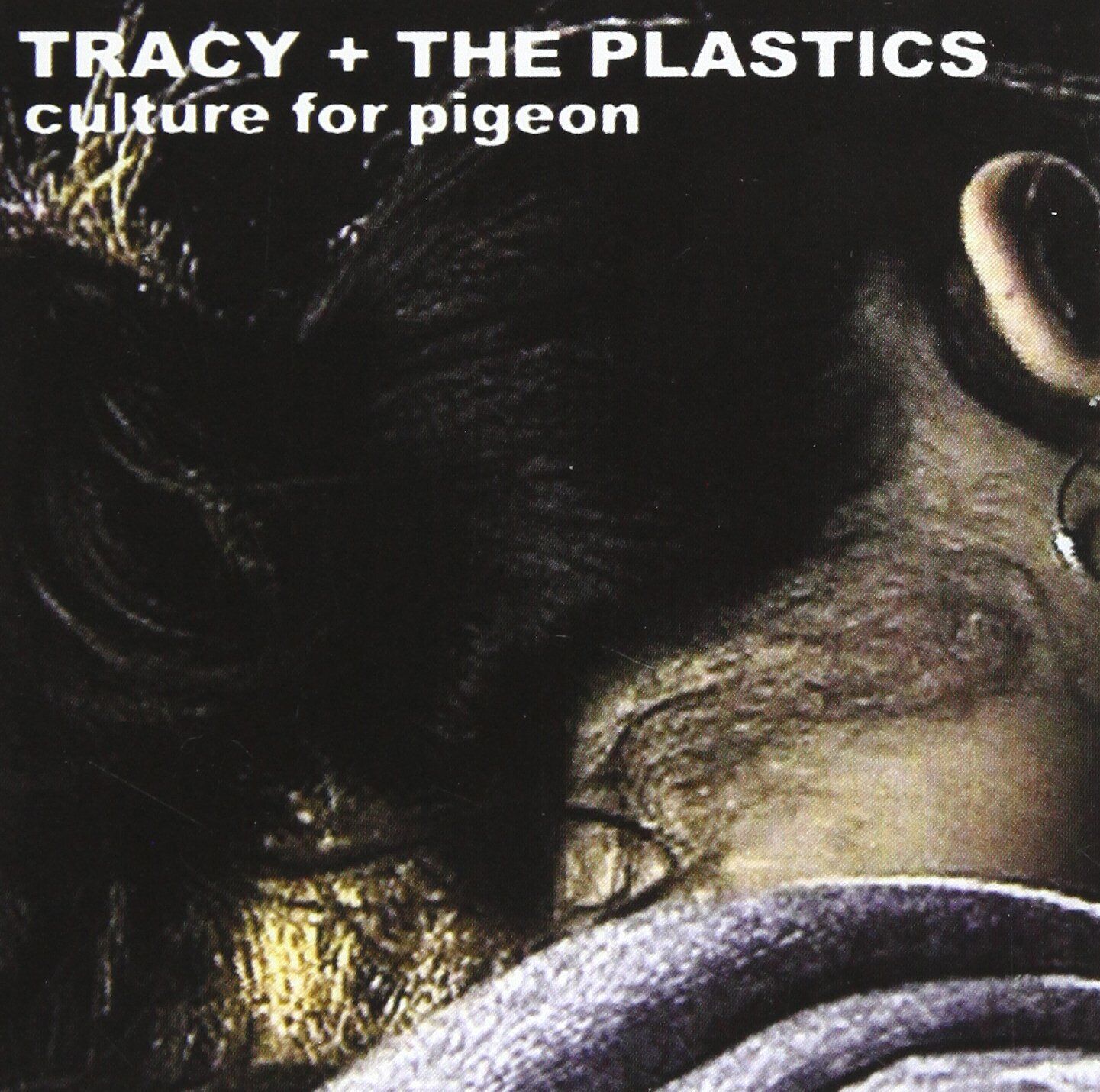 Tracy + the Plastics Culture for Pigeon (CD) Album