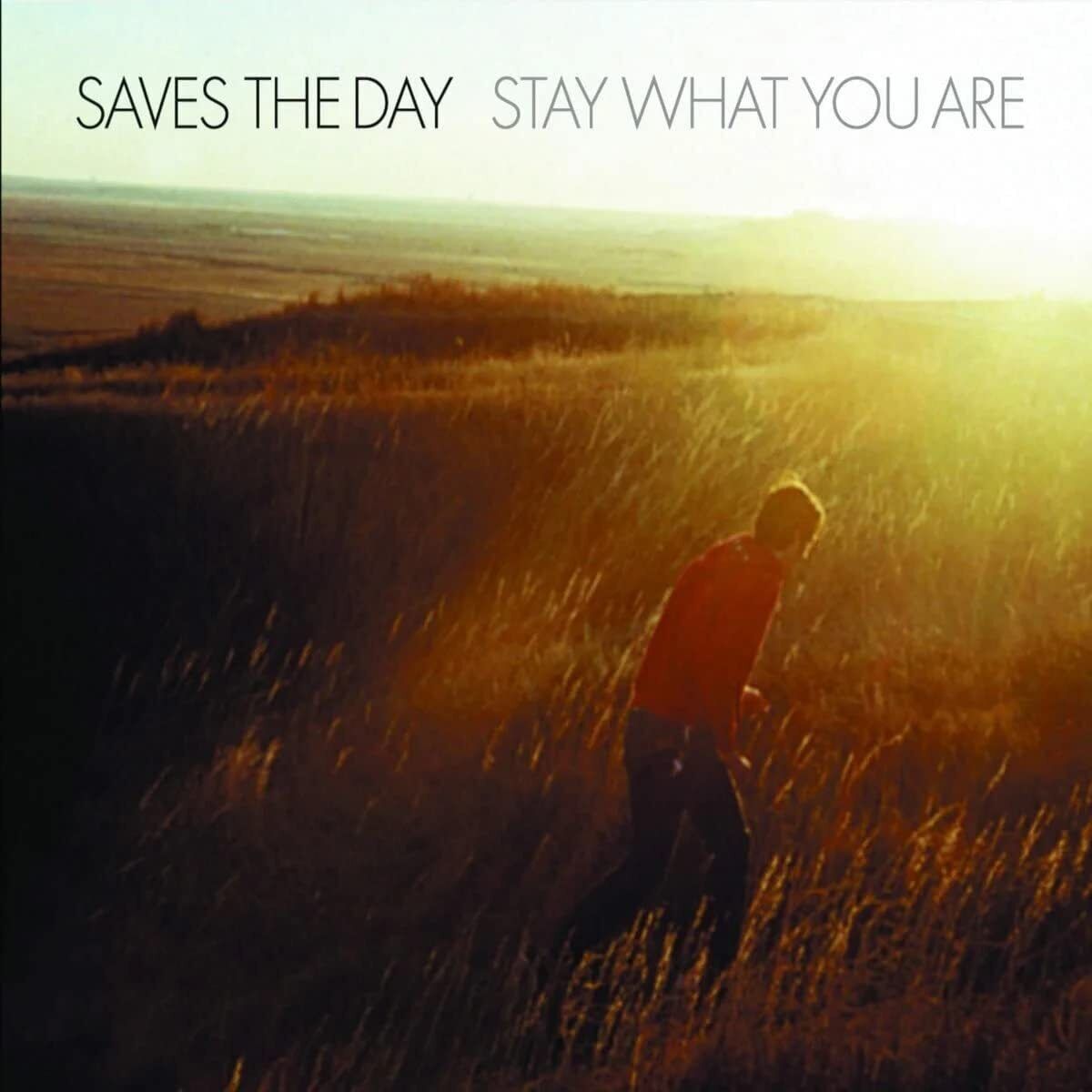 Saves the Day Stay What You Are Double 10 Inch Vinyl NEW