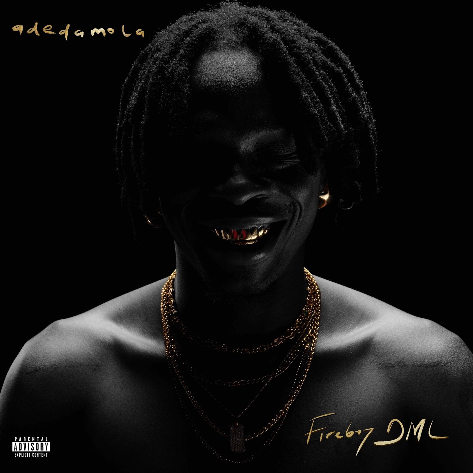 Fireboy DML Adedamola (Vinyl LP) 12" Album Coloured Vinyl