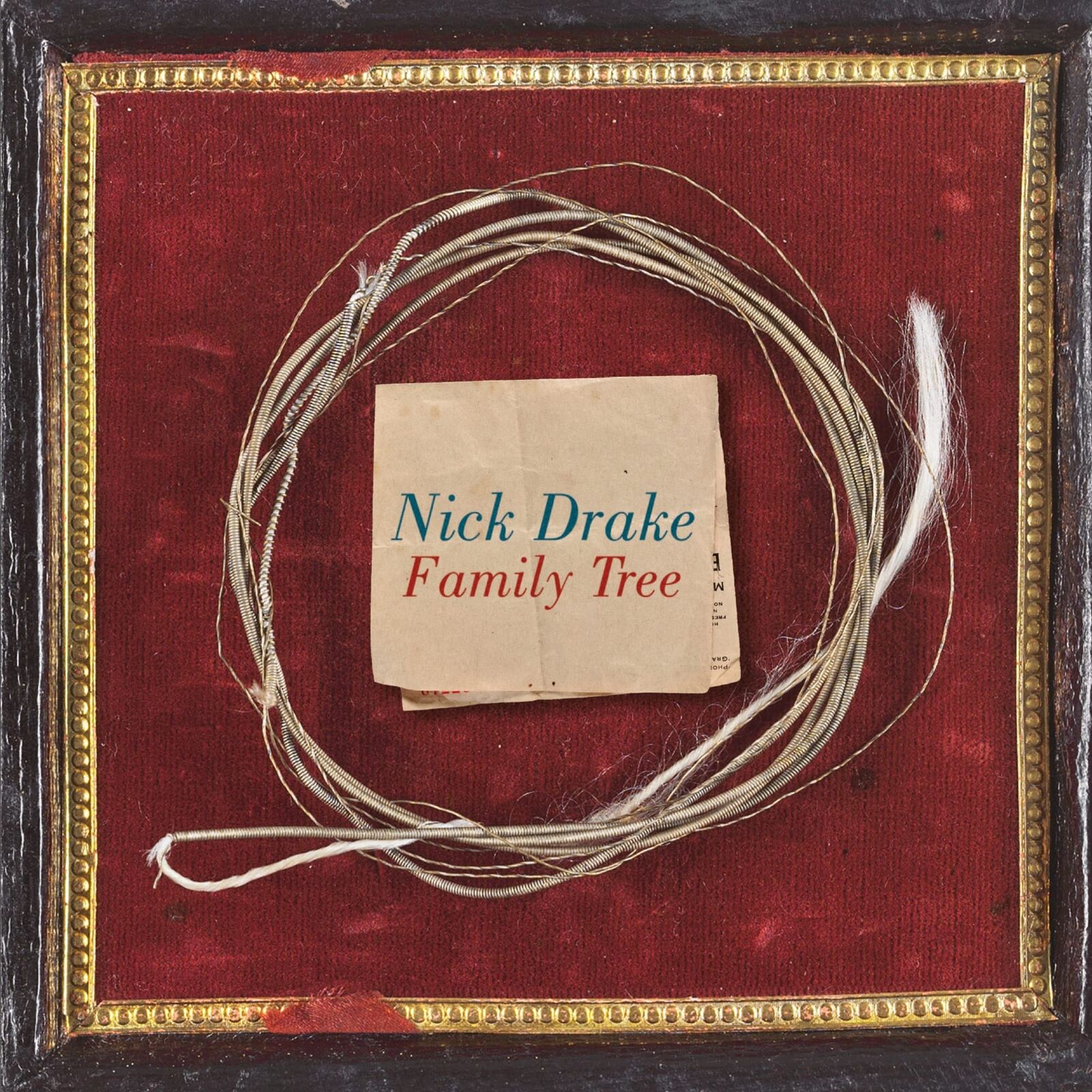 Nick Drake Family Tree Double LP Vinyl NEW