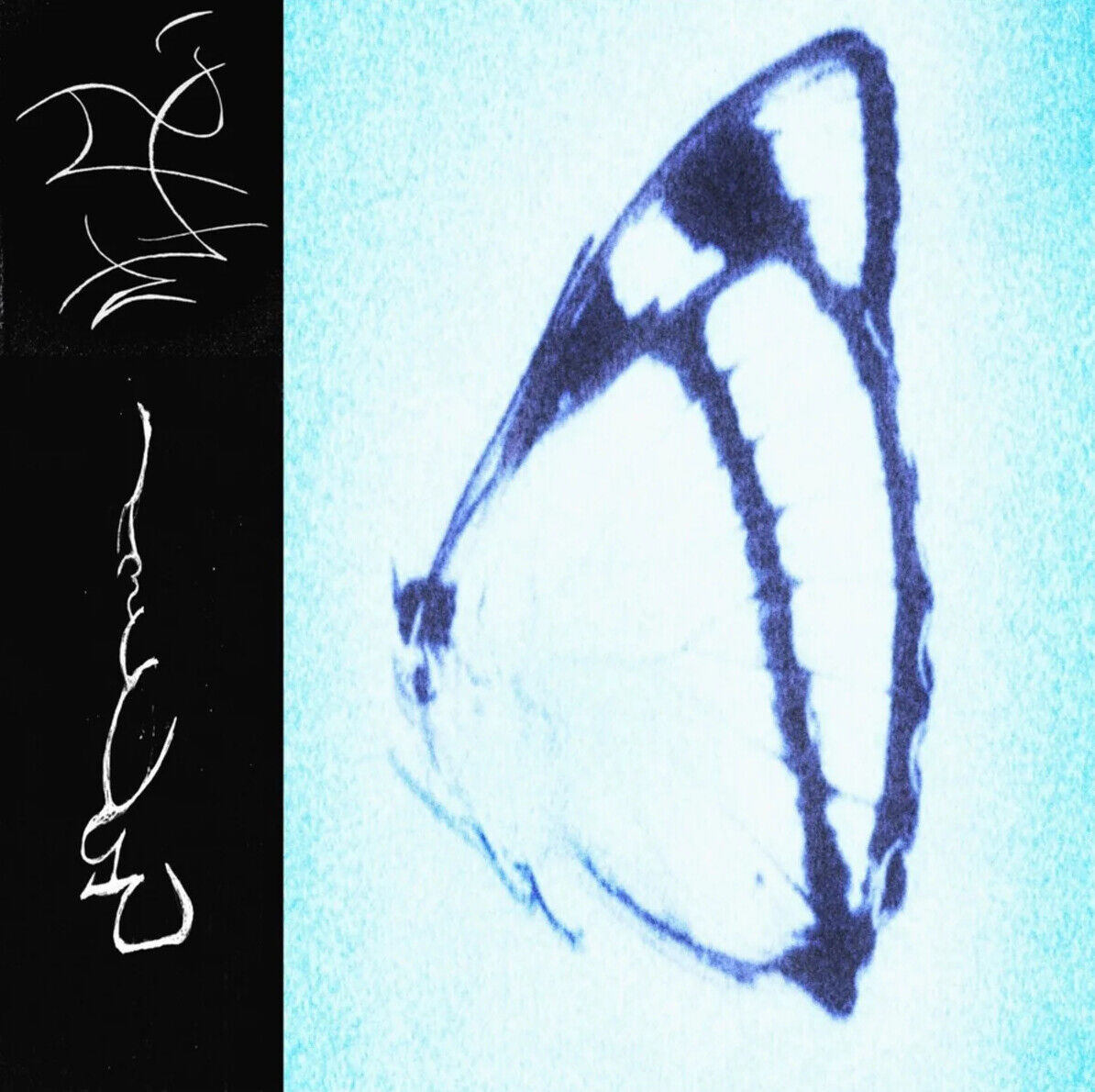 Our Throne Amber and Gold (CD) Album (PRESALE 17/01/2025)