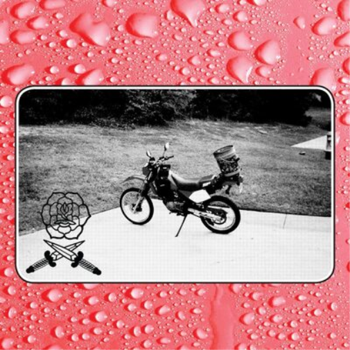 Bass Drum of Death Say I Won't (Vinyl LP)