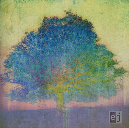 Eric Johnson EJ (CD) Album