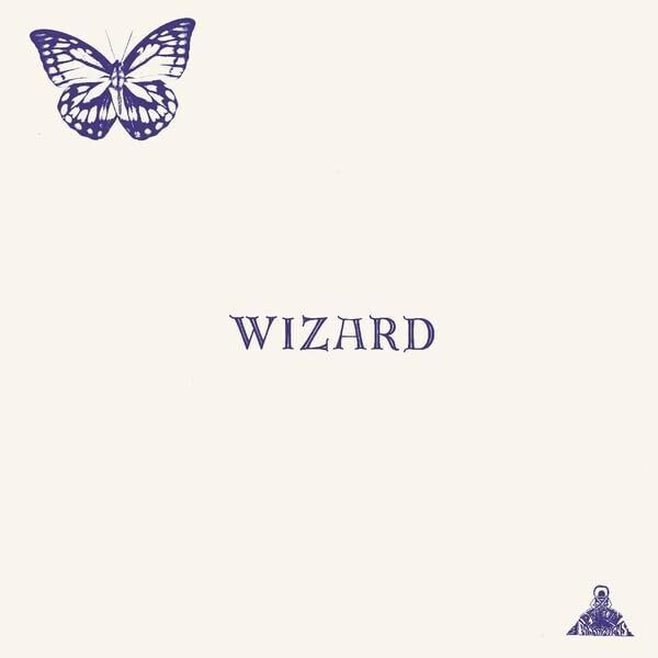 The Wizard Wizard (Vinyl LP)