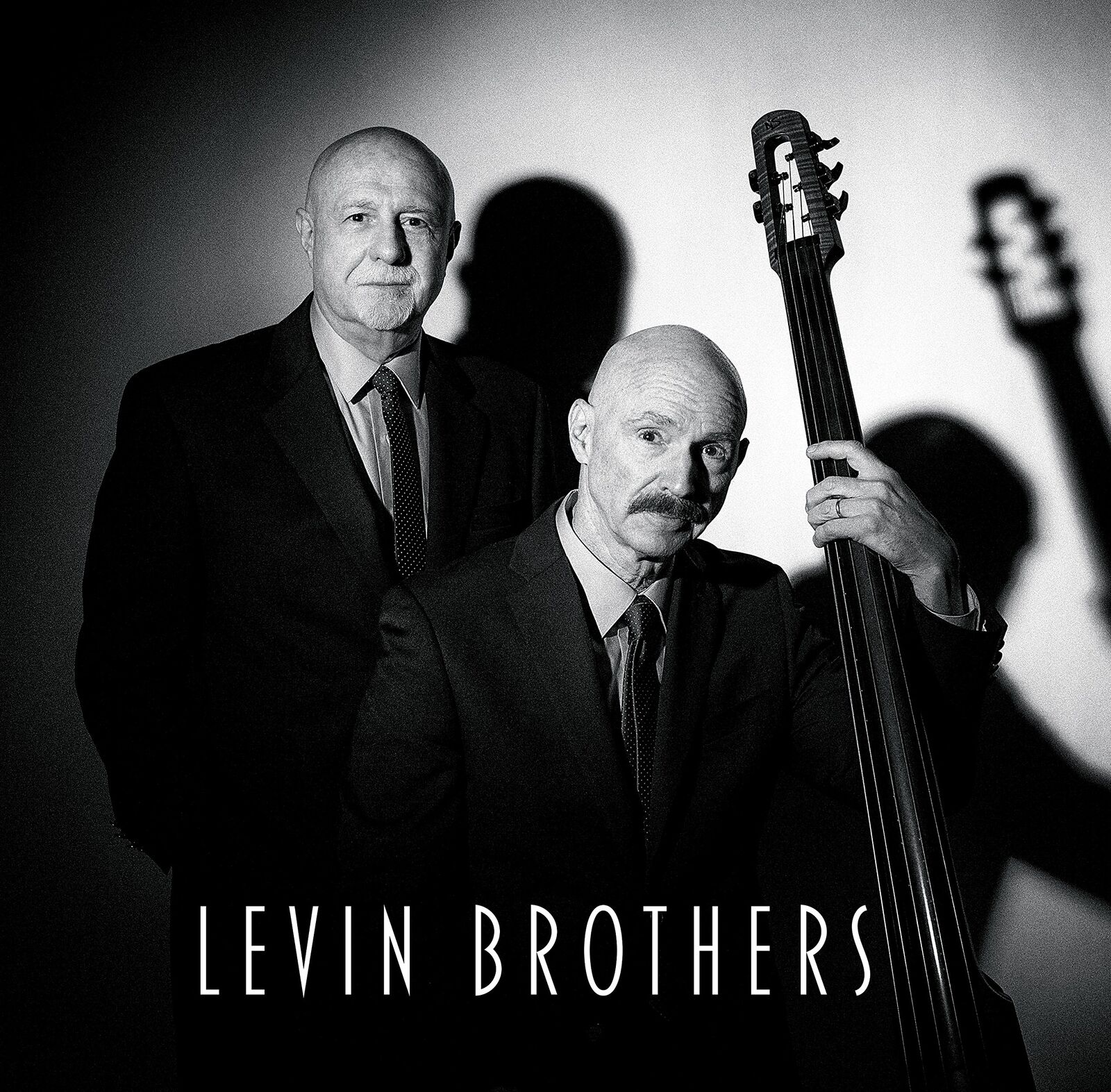 Tony Levin Levin Brothers (CD)