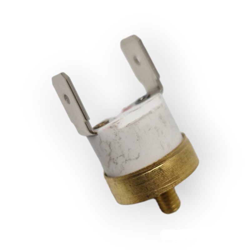 ROBUR TERMOSTATO FUMI 70° CAPPA J-12301026 PER RADIATORE A GAS