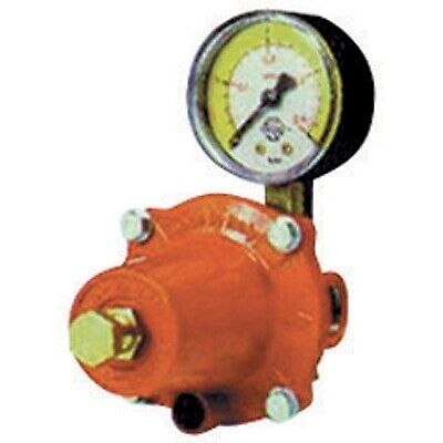 Regolatore Gpl Di Alta Pressione Con Manometro Mod. Apz250 - Kg. / H 30