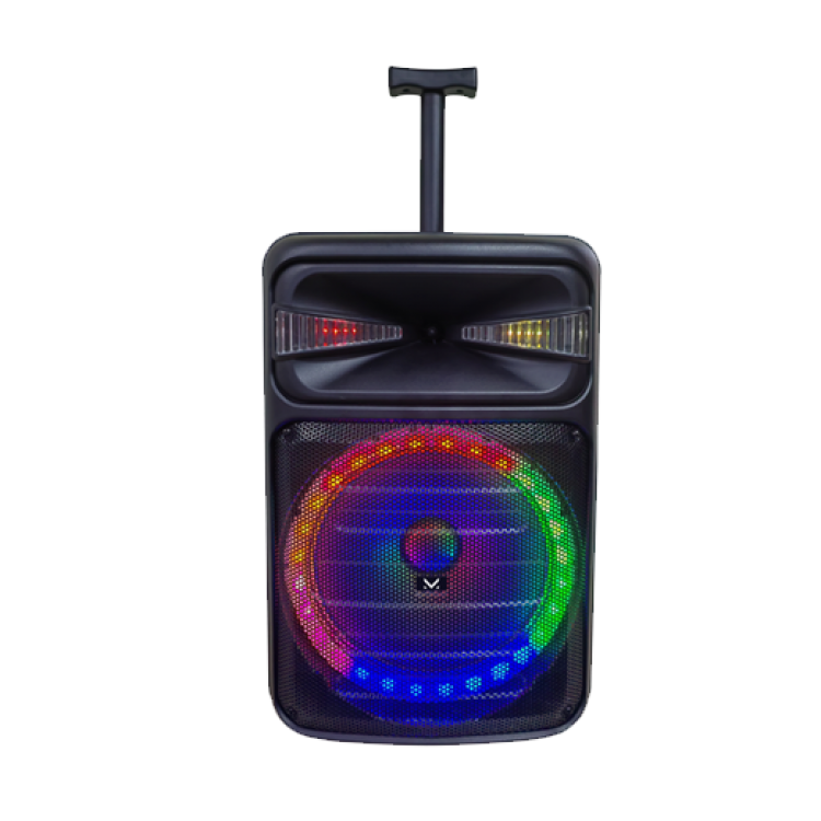 Altoparlante wireless audio FIRET5 Majestic