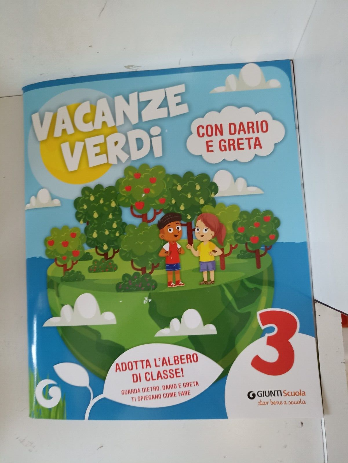 libri di testo ed educativi VACANZE VERDI VOL 3