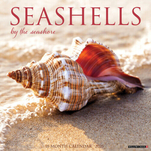 Seashells 2025 12 X 12 Wall Calendar by Willow Creek Press