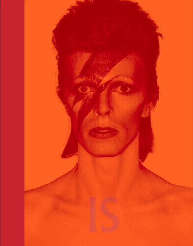 David Bowie Is... by Victoria Broackes