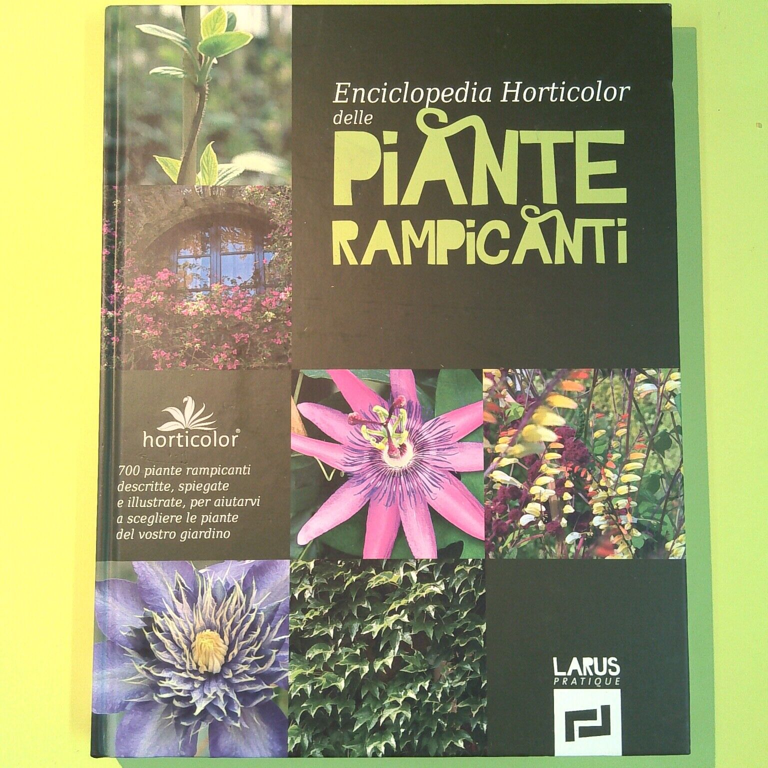 ENCICLOPEDIA HORTICOLOR DELLE PIANTE RAMPICANTI LARUS