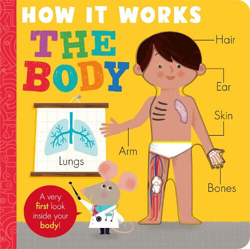 How it Works: The Body (How It Works) by Amelia Hepworth