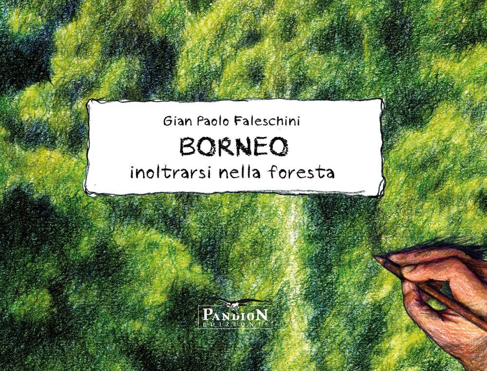 Libri Faleschini Gian Paolo - Borneo. Inoltrarsi Nella Foresta. Ediz. Illustrata