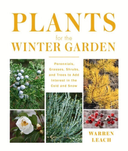 Plants for the Winter Garden: Perennials, Grasses, Shrubs, and Trees to Add