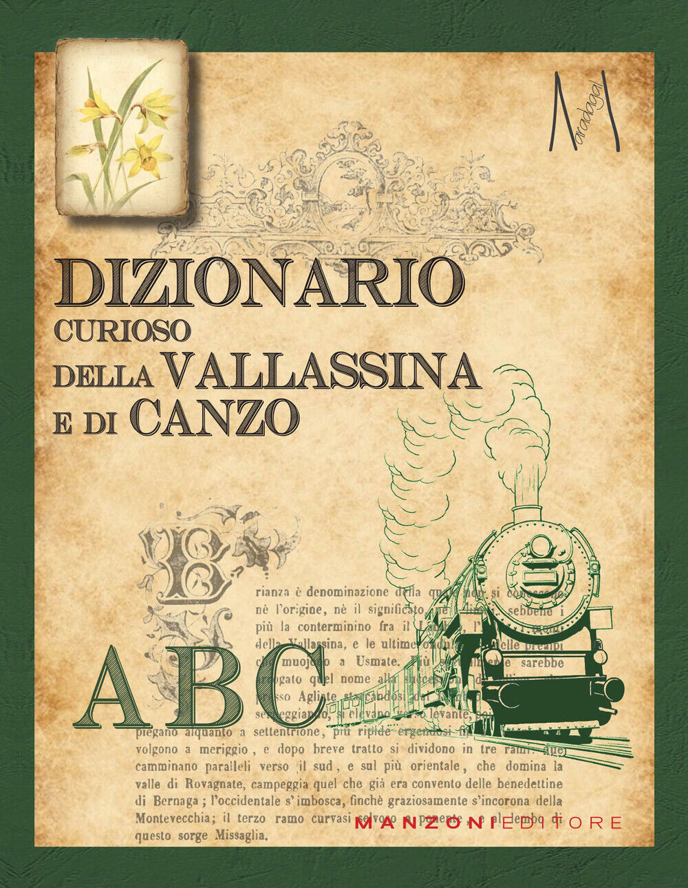 Dizionario curioso della Vallassina e di Canzo - Castelnuovo Maria Orsola,...