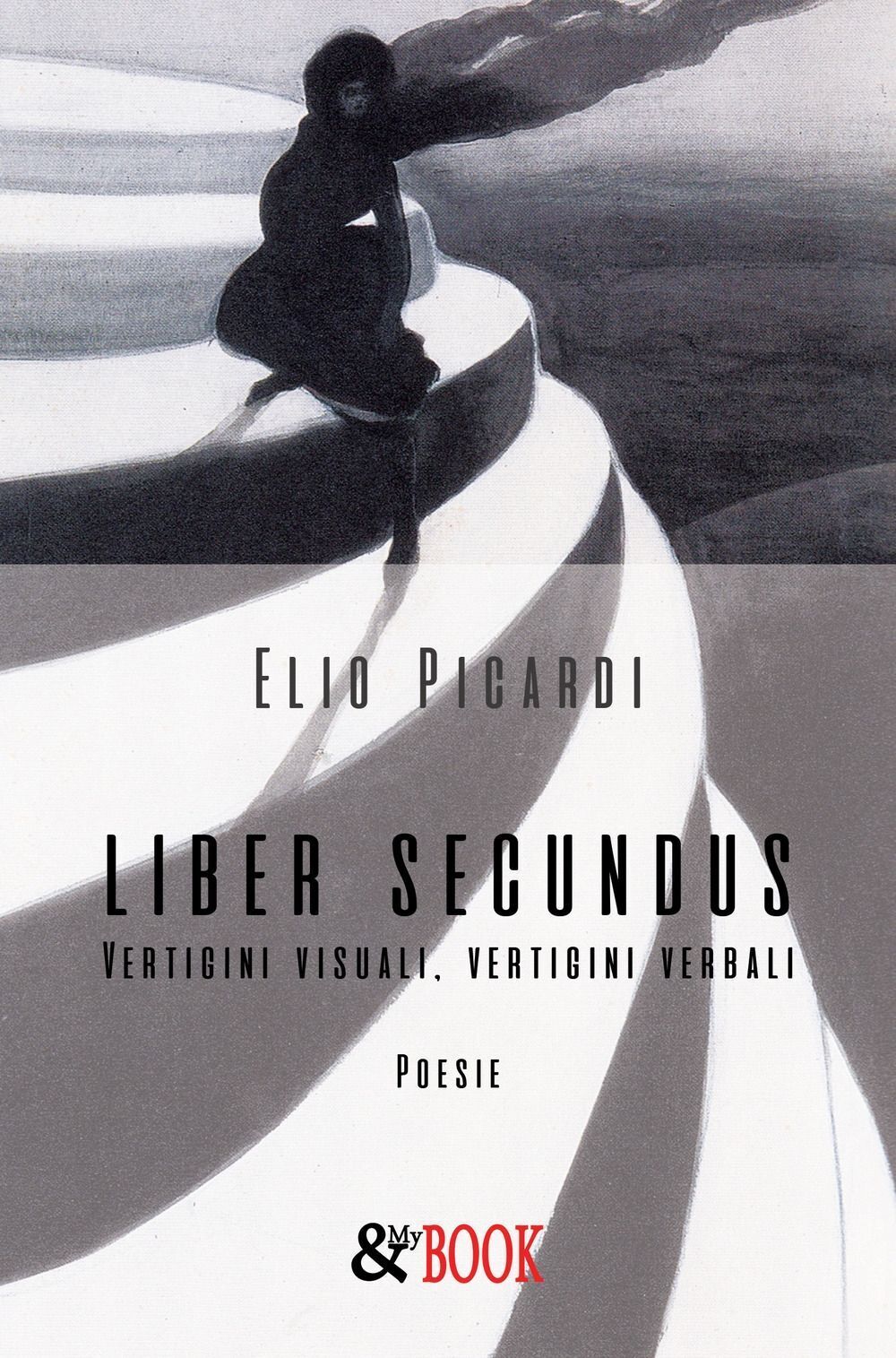 Libri Elio Picardi - Liber Secundus. Vertigini Visuali, Vertigini Verbali