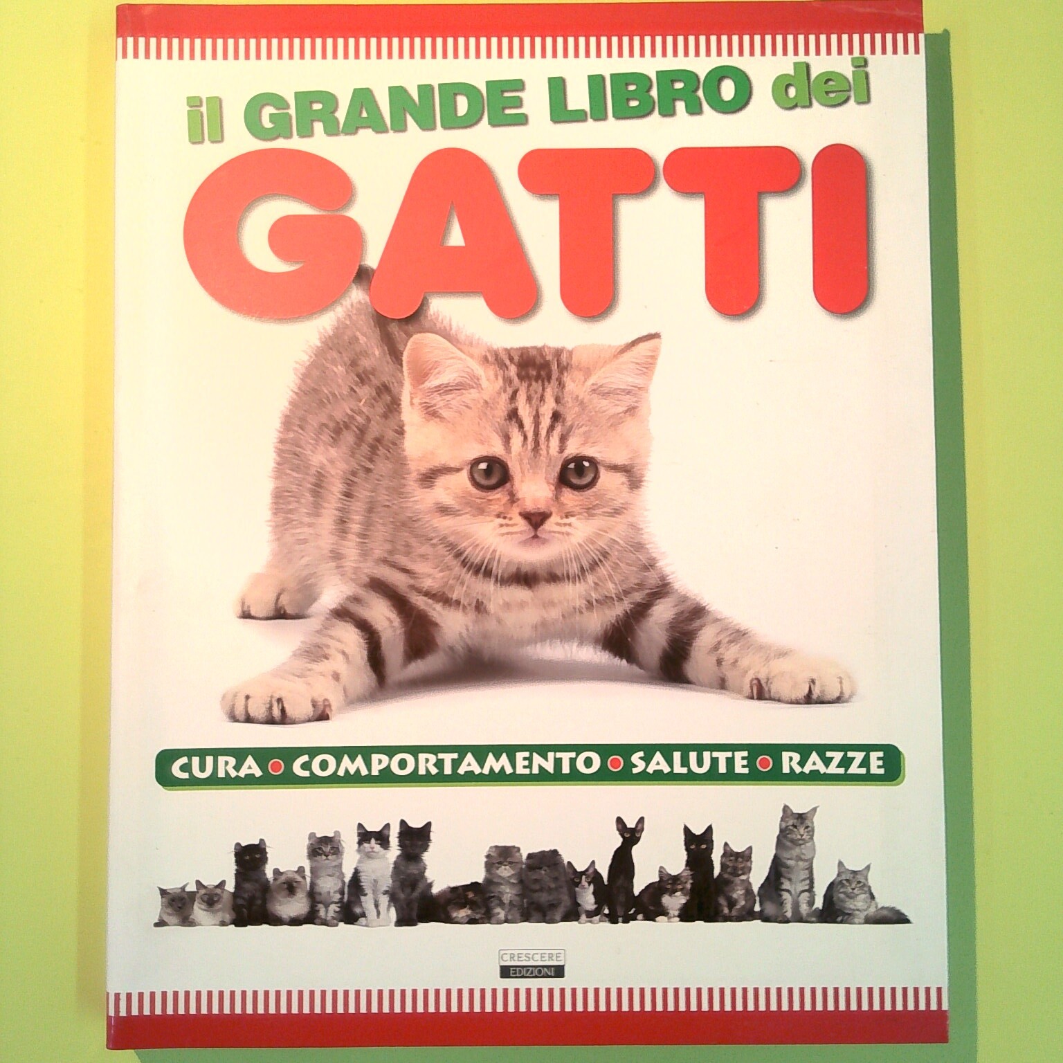 IL GRANDE LIBRO DEI GATTI CRESCERE EDIZIONI