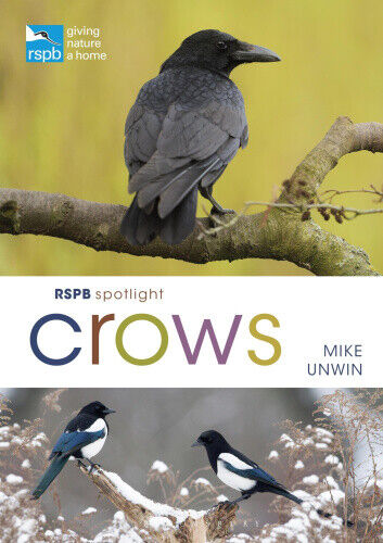 RSPB Spotlight Crows by Unwin, Mike