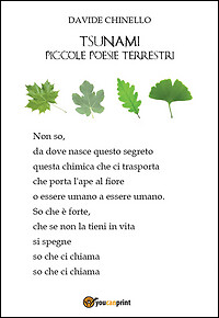 9788893065269 Tsunami, piccole poesie terrestri - davide chinello