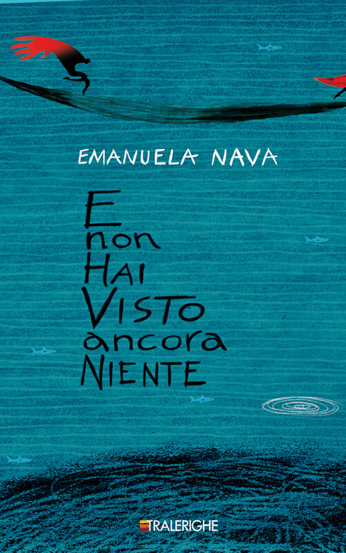 E non hai visto ancora niente - Nava Emanuela
