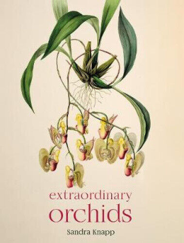 Extraordinary Orchids by Knapp, Sandra