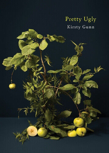 Pretty Ugly by Kirsty Gunn