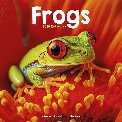 Frogs Calendar 2025 Square Animal Wall Calendar - 16 Month