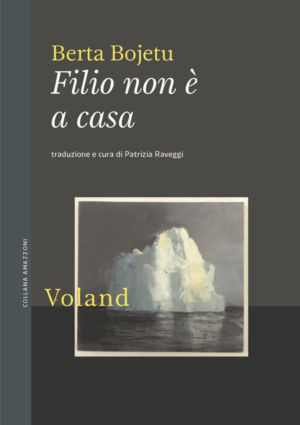 9788862435406 Filio non è a casa - Berta Bojetu,Patrizia Raveggi