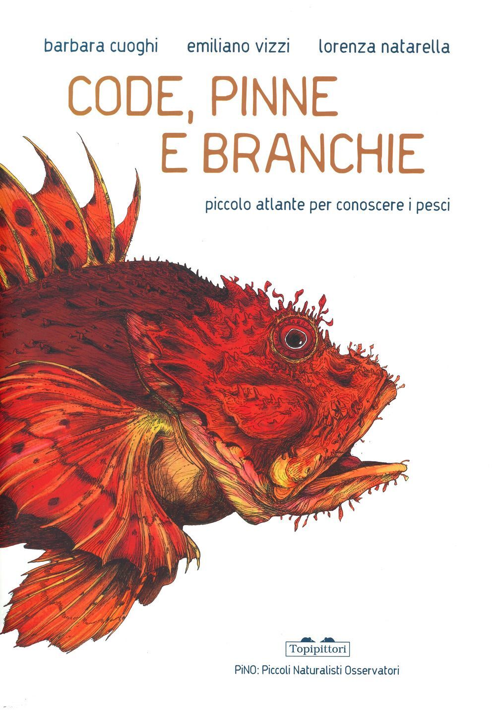 Libri Barbara Cuoghi / Vizzi Emiliano - Code, Pinne E Branchie. Piccolo Atlante