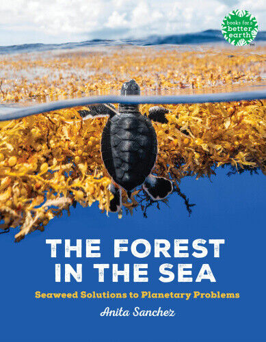 The Forest in the Sea: Seaweed Solutions to Planetary Problems (Books for a
