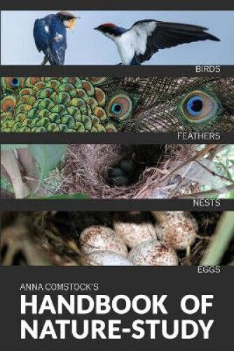 The Handbook Of Nature Study in Color - Birds by Anna B. Comstock