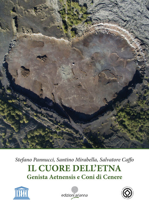 Cuore Dell'Etna. Genista Aetnensis E Coni Di Cenere