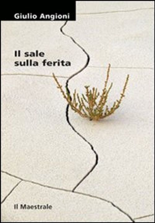 Libri Giulio Angioni - Il Sale Sulla Ferita