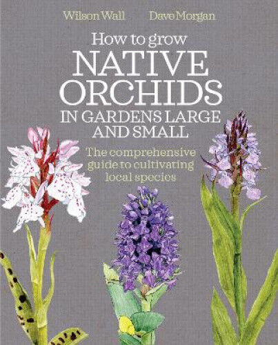 How to Grow Native Orchids in Gardens Large and Small: The Comprehensive Guide